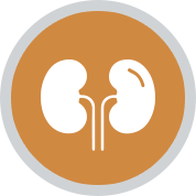 Fachgebiet Nephrologie (Nierenkrankheiten)